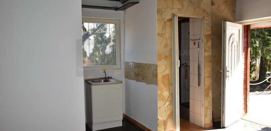 Parkerdei nyugalom, téliesített lakható házikóval