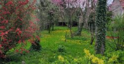 3 szobás, zártsoros beépítésű családi ház Kőszegen