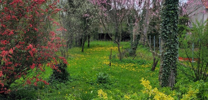 3 szobás, zártsoros beépítésű családi ház Kőszegen