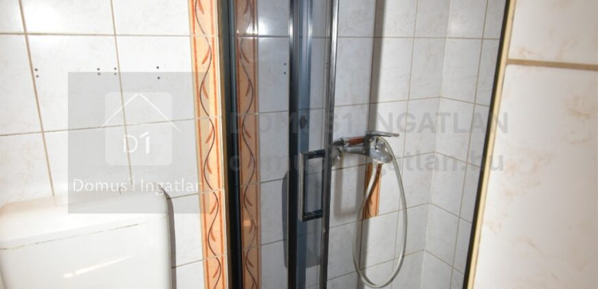 Parkerdei nyugalom, téliesített lakható házikóval